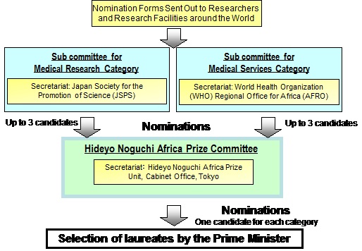 Selection Process for the Hideyo Noguchi Africa Prize