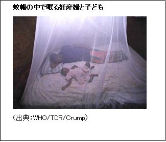 蚊帳の中で眠る妊婦と子供