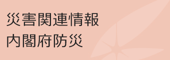 災害関連情報 内閣府防災