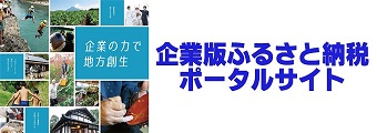 企業版ふるさと納税ポータルサイト（内閣官房・内閣府総合サイト）