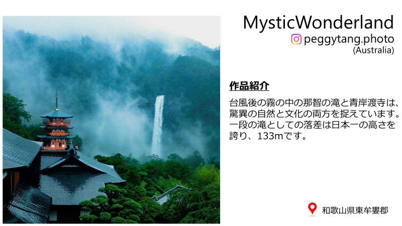 ベスト写真