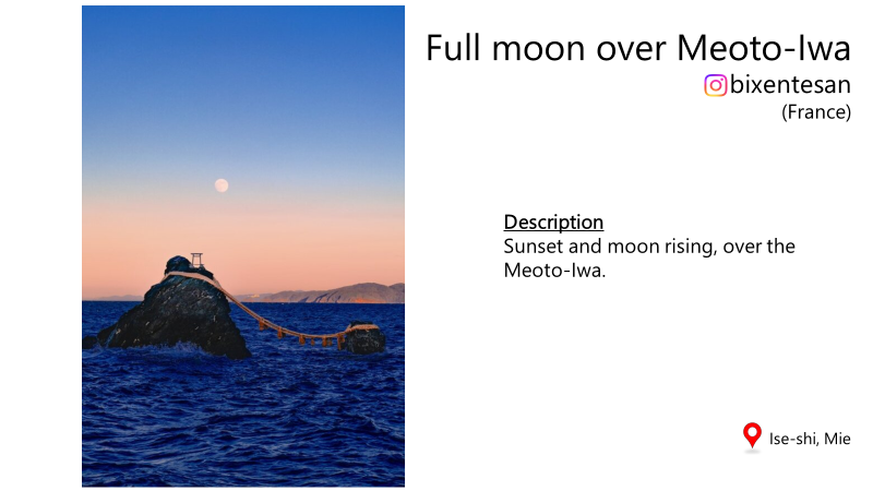 excellentphoto2
