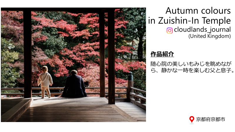 エクセレントの写真1