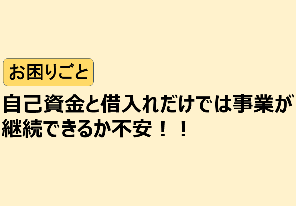 自己資金と借入れだけでは事業が継続できるか不安！！