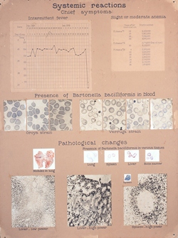 presentation panel