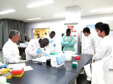 ガーナの野口記念医学研究所で研究中の井戸教授と研究者らと日本の学生たち