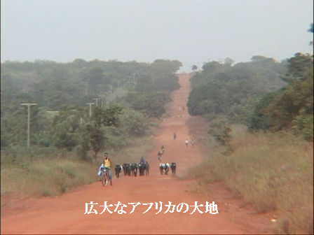 広大なアフリカの大地