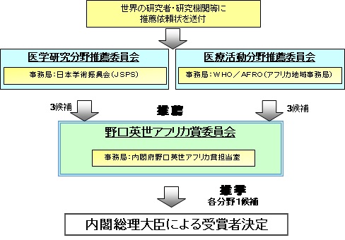 野口英世アフリカ賞の選考プロセス