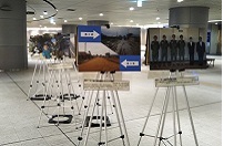 有楽町駅前地下広場PKO写真パネル展の様子