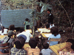 Children who take shelter to forest and study(img)