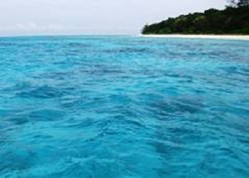 ジャコ島の透明感の高い海img